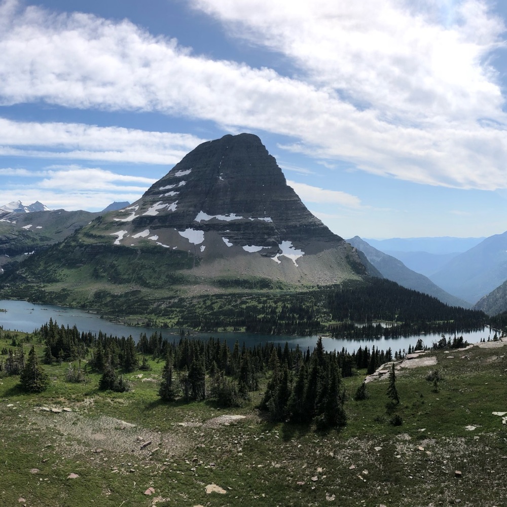 Meet your Posher, Shaila